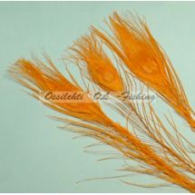 Ossilehti Albino Peacock Eyes (pohjaväri silvergrey) ORANGE 3 kpl TFH™