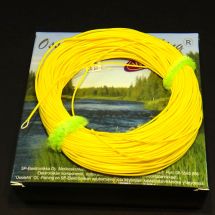 Perhosiima kelluva easyfly WF-6F Yellow TFH™