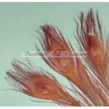 Ossilehti Albino Peacock Eyes (pohjaväri silvergrey) BROWN 3 kpl TFH™