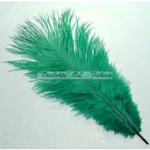 Strutsin sulka (höyhen) pyrstöhöyhen kokonainen, Vihreä