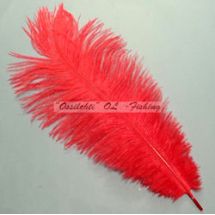 Strutsin sulka (höyhen) pyrstöhöyhen kokonainen, "Kirsikanpunainen"