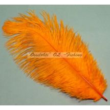 Strutsin sulka (höyhen) pyrstöhöyhen kokonainen, Iloisen Oranssi