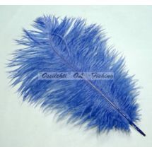 Strutsin sulka (höyhen) pyrstöhöyhen kokonainen, Sininen