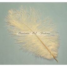 Strutsin sulka (höyhen) pyrstöhöyhen kokonainen, Valkoinen Medium