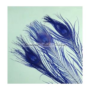 Ossilehti Albino Peacock Eyes (pohjaväri silvergrey) DARK BLUE 3 kpl TFH™