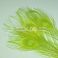 Ossilehti Albino Peacock Eyes (pohjaväri silvergrey) LIME 3 kpl TFH™